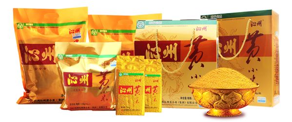 小米產品全家福改小.png