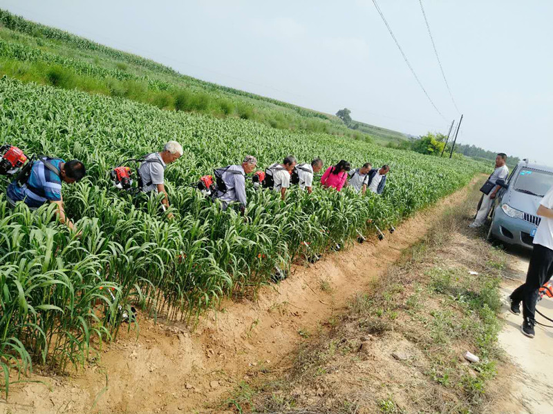 微信圖片_20180725163537_副本.jpg